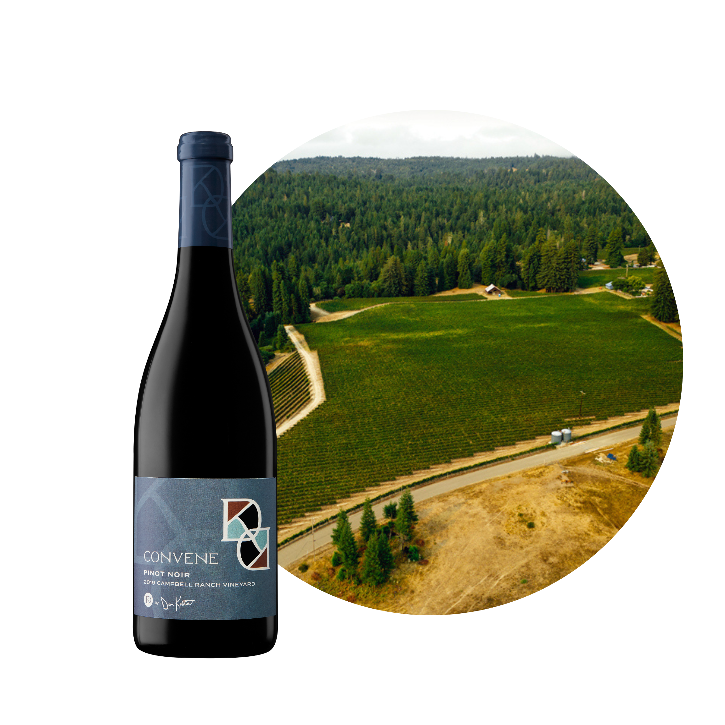 campbell ranch pinot noir convene by dan kosta